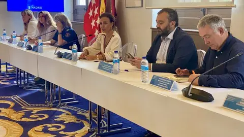 La concejala delegada de Turismo, Almudena Maíllo, durante el Consejo Local de Turismo de la Ciudad de Madrid