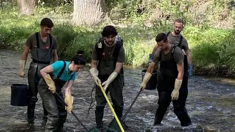 Imagen de cabecera #0 de la página de "La Comunidad de Madrid rescata cerca de 400 barbos comunes aislados en el arroyo de Valdezate"