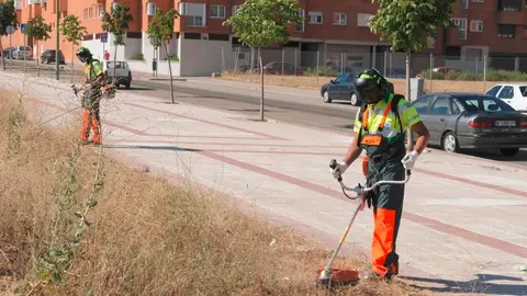 Operario en el desbroce de un solar - Foto de archivo Ayuntamiento de Madrid