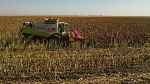 Colaboración con la Federación de Cooperativas y de la Economía Social de Madrid (FECOMA) para impulsar el cooperativismo