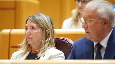 Alicia García y Javier Arenas, en el Pleno del Senado | Foto del PP