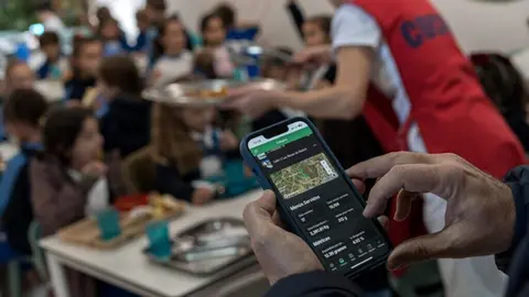 Neto Positivo Plato Limpio HubLasRozasInnova