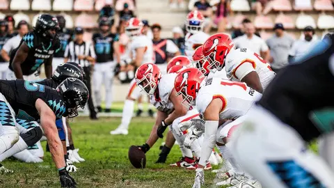 Madrid Bravos - Web ELF Paula Romo