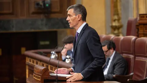 Pedro Sánchez durante una intervención en el Congreso | Foto de PSOE/Eugenia Morago