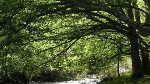 Actividades biodiversidad - Comunidad de Madrid