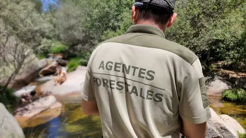 Agentes Forestales - Comunidad de Madrid