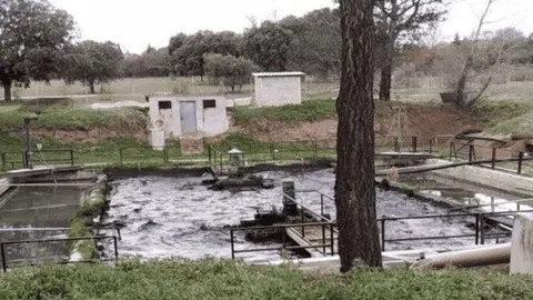 "Batidora" de la urbanización de Ciudalcampo. Durante décadas se limitada a remover los lodos de aguas fecales antes de su vertido al cercano río Guadalix.