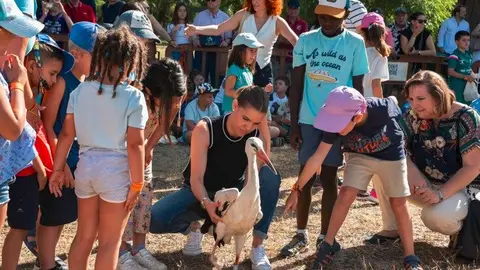 Judith Piquet, en la suelta de cigüeñas en La Huerta del Obispo - Ayuntamiento Alcalá de Henares