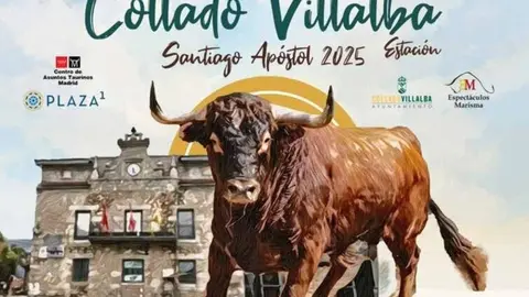 Cartel Fiestas Collado Villalba
