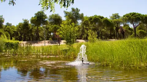 Parque agua regenerada - Foto Comunidad de Madrid