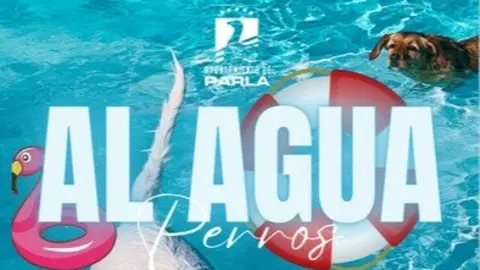 'Al Agua Perros' Parla - Foto Ayuntamiento de Parla