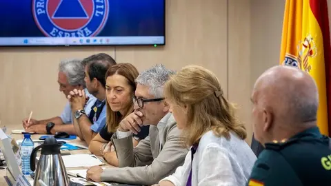 La directora de Protección Civil, junto al ministro Marlaska en una reunión | Foto del Ministerio del Interior