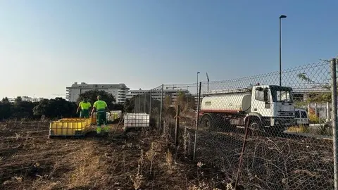 Limpieza del campo y de las calles del municipio | Foto del Ayuntamiento de Tres Cantos