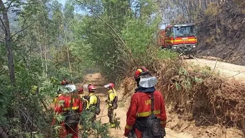 Un grupo de militares intenta apagar un incendio en Pontevedra | Foto de la UME