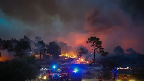 Incendio en una zona de pinares y de pastos de Ávila | Foto de la UME
