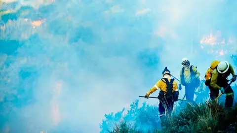 Brigadas forestales - Foto de 123RF/peopleimages12