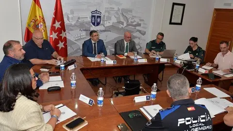 Fiestas de Valdemoro