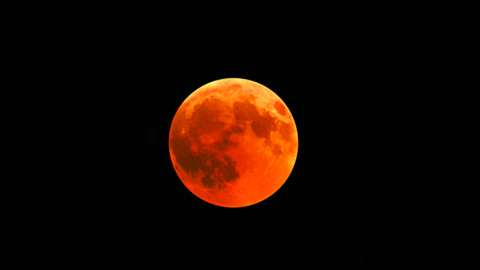 Luna de Sangre Madrid - wirestock