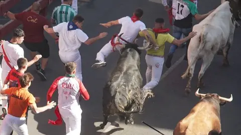 Quinto encierro San Sebastián de los Reyes - Foto Ayuntamiento San Sebastián de los Reyes
