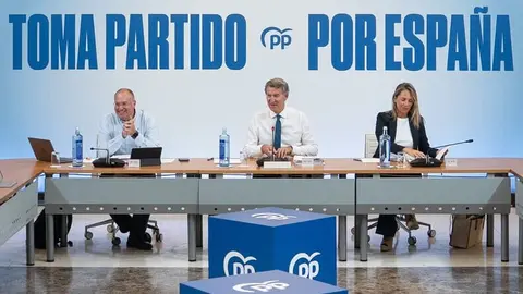 Alberto Núñez Feijóo preside el Comité de Dirección del PP con Miguel Tellado y Alma Ezcurra | Foto del PP