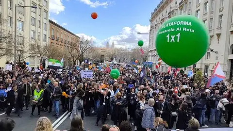 Manifestación pasarela 1x1 al RETA