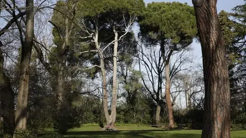 Parque El Capricho. Imagen de archivo Ayuntamiento de Madrid