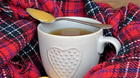 Kombucha con fibra para mejorar la salud intestinal