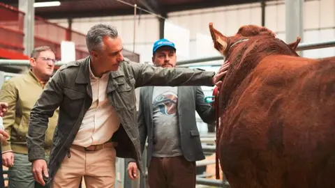 Carlos Novillo inaugura la 87&ordf; Subasta Nacional de Ganado Selecto - Foto Comunidad de Madrid