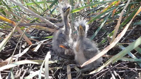 Parque Regional del Sureste