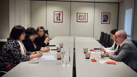 REUNI&Oacute;N CERMI 2