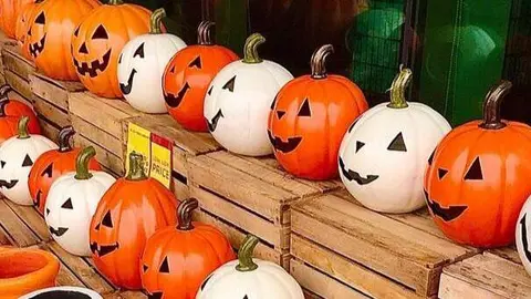 Halloween Alpedrete - Cedarsinktrail/Pixabay