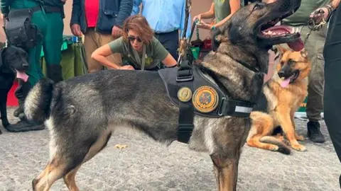 XX Salón para la Adopción de  Animales de Compañía - Foto Comunidad de Madrid