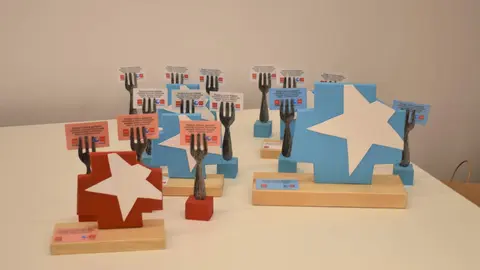 ESTRELLA PRINCESA 2024