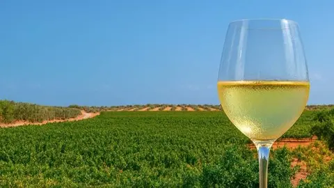 Viñas Montilla