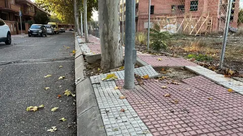 Alcal&aacute; de Henares