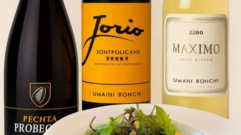 Gastronom&iacute;a Italiana