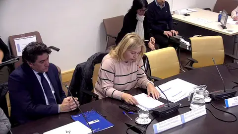 La vicealcaldesa y delegada de Seguridad y Emergencias, Inma Sanz, durante la Comisi&oacute;n de Presupuestos del &aacute;rea