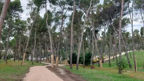 Zona arbolada en Pinar de la Elipa - Foto Ayuntamiento Madrid