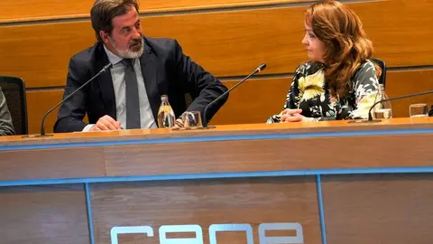 La consejera Matute, en la reuni&oacute;n de la Comisi&oacute;n de Sanidad de la Confederaci&oacute;n Espa&ntilde;ola de Organizaciones Empresariales (CEOE) - Foto Comunidad de Madrid