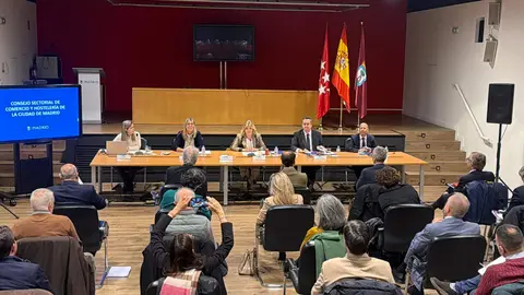 1.Hidalgo preside la segunda sesión del Consejo Sectorial de Comercio y Hostelería de Madrid