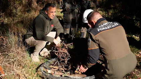 El consejero Novillo, supervisando los trabajos realizados por el Grupo de Intervenci&oacute;n en Altura del Cuerpo de Agentes Forestales (GIAM) - Foto Comunidad de Madrid