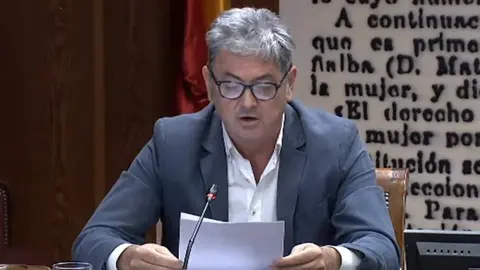 Antxon Alonso durante su comparecencia en el Senado