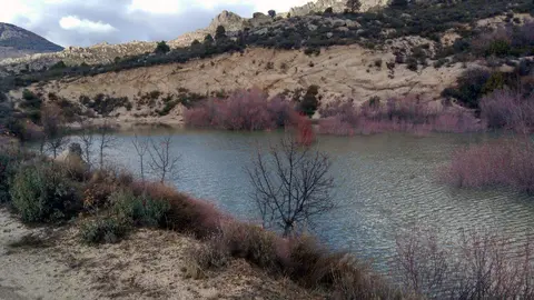 20 proyectos ambientales con 500.000 euros para proteger la biodiversidad