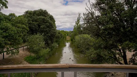 ARCO VERDE LAS ROZAS