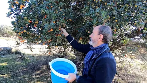 La Comunidad forma a 1.300 profesionales del sector primario con cursos gratuitos del IMIDRA en 2025