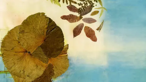 1 Obra de Fran Lara Peña