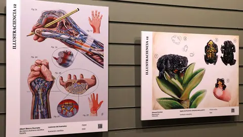 Exposici&oacute;n Illustraciencia 12 - Foto del Museo Nacional de Ciencias Naturales
