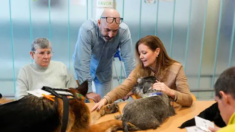 Madrid invierte m&aacute;s de 23 millones en la atenci&oacute;n integral de personas con discapacidad intelectual y envejecimiento prematuro