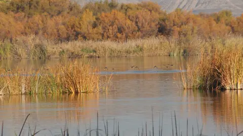 Laguna Soto de las Cuevas - Foto Comunidad de Madrid