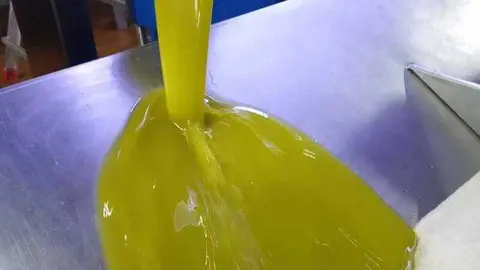 Agricultura inicia la reforma de la norma de calidad del aceite de oliva - Foto de COAG